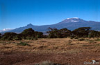 Kilimajaro und Mawenzi